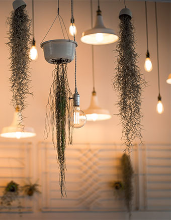 The Home Lorem ipsum luminaires