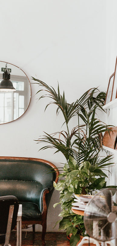 The Home inspirations décoration